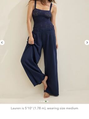 aerie Navy Street Trousers